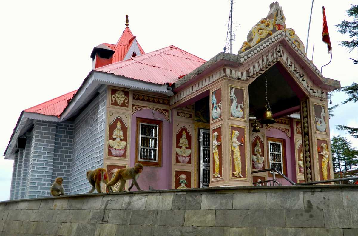 The Jakhu Temple Shimla is one of the top spots for Shimla local sightseeing. Known as the Monkey Temple, a visit here can be an adventure! | Places to visit in Shimla | Shimla Monkey Temple | Places to visit near Shimla | Things to do in Shimla | Shimla attractions | Shimla tourism | Shimla trip | Places to see in Shimla | Places in Shimla | Places near Shimla | Tourist places near Shimla | Shimla India points of interest | Shimla local sightseeing
