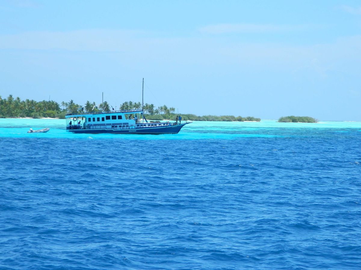 Do you dream of discovering the real Maldives away from the expensive resorts? A Maldives liveaboard is the perfect, affordable way to see the country! Maldives budget travel | Living in Maldives | Best beaches in Maldives | Maldives on a budget | Maldives travel | Cheap Maldives #maldivestravel #maldivespins #maldivesdestination #maldivesholiday