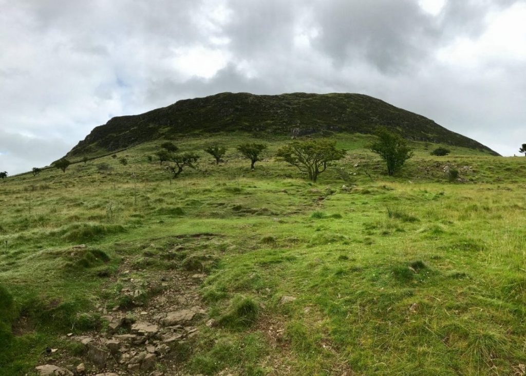 slemish