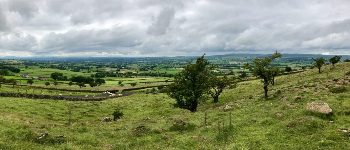 slemish