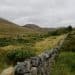 Grassland - Lake District