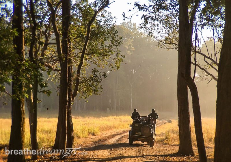 For a different Indian experience, why not check out Central and Southern India? Check out the best of the region from those who know it well! | Visit Central India | Visit South India | Visit Southern India | Visit Madhya Pradesh | Visit Gujarat | Visit Goa | Visit Odisha | Visit Maharashtra | Visit Goa | Visit Karnataka | Visit Tamil Nadu | Visit Kerala | Visit Andaman and Nicobar | #centralindia #southindia #southernindia #madhyapradesh #gujarat #goa #odisha #maharashtra #goa #karnataka #tamilnadu #andamanislands #andamanandnicobar