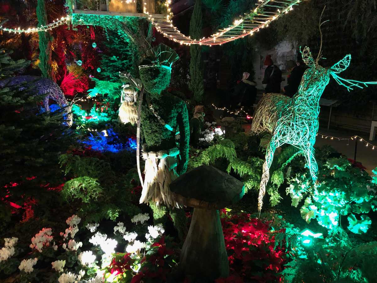 RHS Wisley Christmas Glow A perfect London festive outing