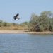 Djoudj National Bird Sanctuary - Langue de Barbarie